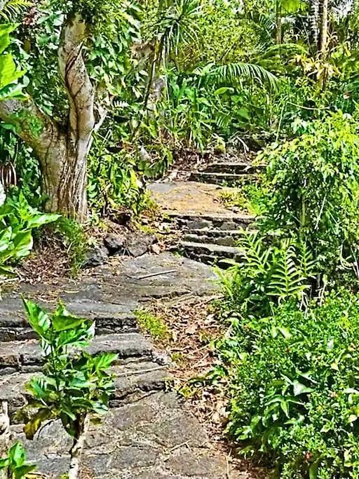 5Br Villa At Beach In Kona Coffee Country Каилуа-Кона