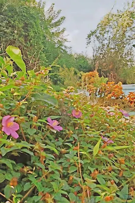 5Br Villa At Beach In Kona Coffee Country Каилуа-Кона