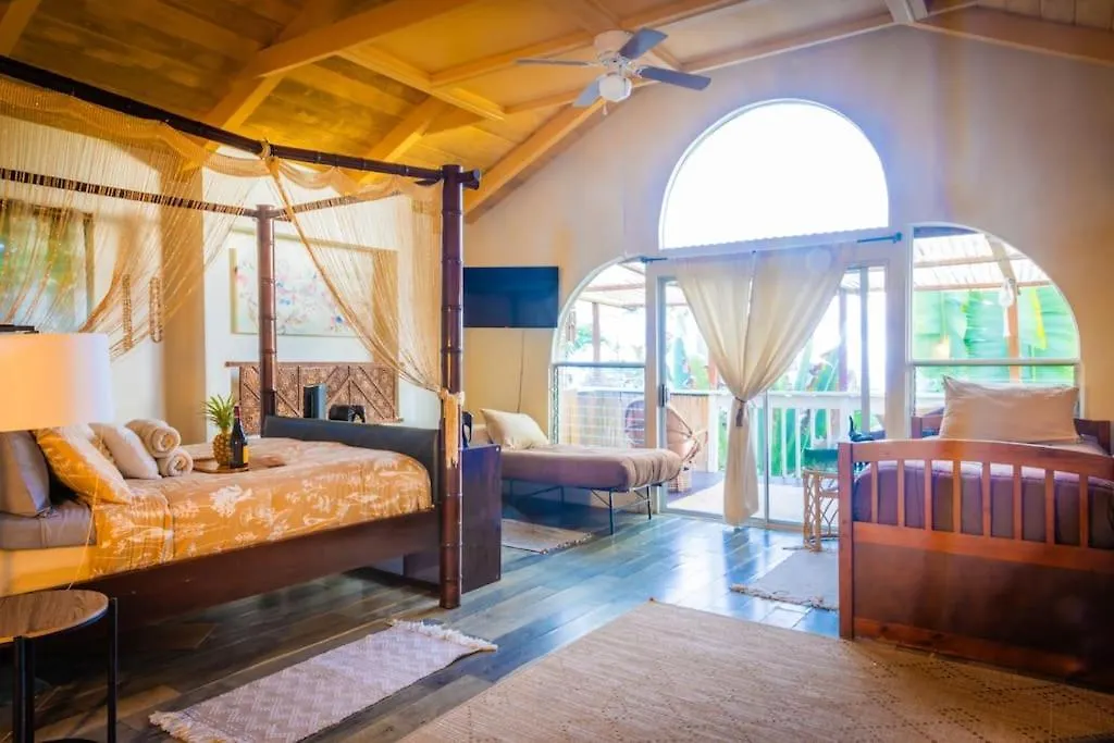 5Br Villa At Beach In Kona Coffee Country كايلو كونا 0*, كايلو كونا الولايات المتحدة الأمريكية