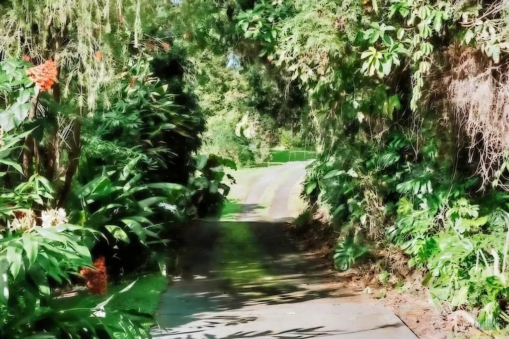 5Br Villa At Beach In Kona Coffee Country كايلو كونا