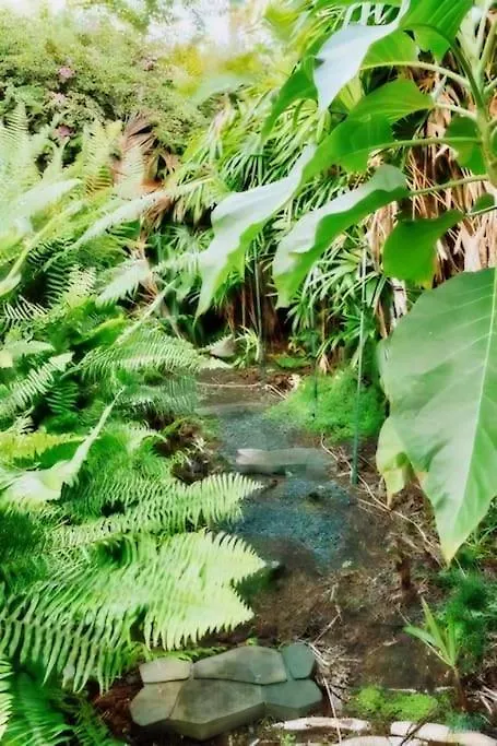 5Br Villa At Beach In Kona Coffee Country كايلو كونا